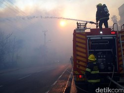 Sudah 13 Orang Ditangkap Terkait Kebakaran Hutan di Israel