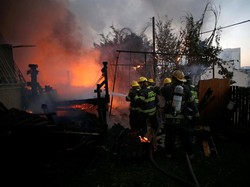 12 Orang Ditangkap Polisi Israel Terkait Kebakaran Hutan yang Disengaja