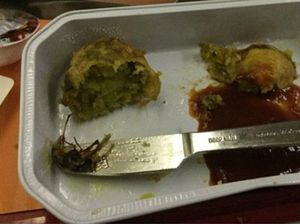 Penumpang Pesawat Ini Temukan Hal Mengerikan di Dalam Makanannya
