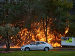 60 Ribu Warga Israel Dievakuasi Akibat Kebakaran Hutan yang Meluas