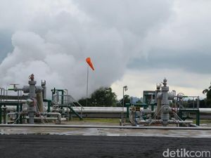 Ini Alasan Energi Terbarukan Harus Berkembang di RI