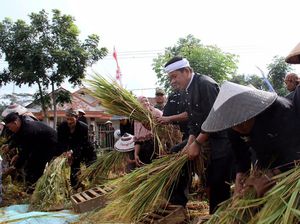 Mulai 2017, Gagal Panen di Purwakarta Bakal Diganti Asuransi Rp 10 Juta