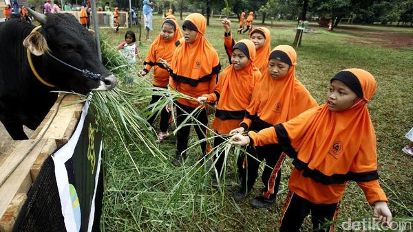 Hello Nature 2016, Ajak Ratusan Anak Peduli Akan Alam