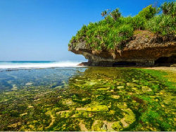 Gunungkidul Berpotensi Jadi Kawasan Ekonomi Khusus Pariwisata