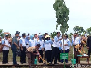 Tanam 237 Ribu Pohon Dalam Waktu 1 Jam, Indonesia Pecahkan Rekor Dunia