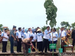 Tanam 237 Ribu Pohon Dalam Waktu 1 Jam, Indonesia Pecahkan Rekor Dunia