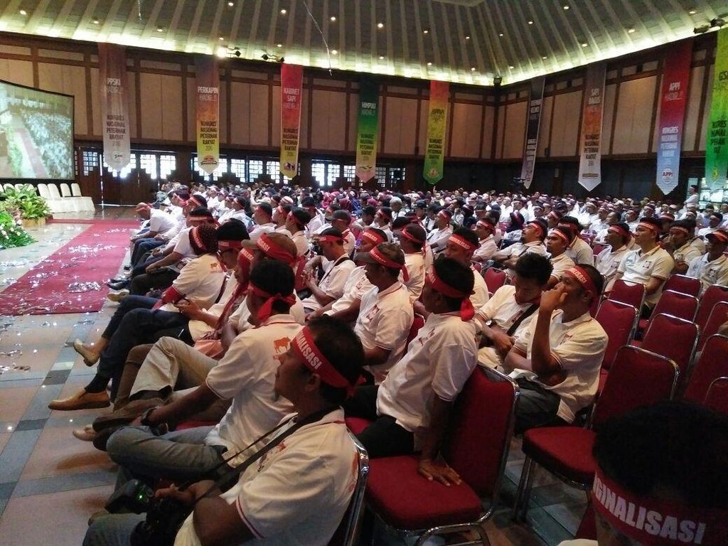 Curhat Mahasiswa Fakultas Peternakan: Tahun Depan Wisuda, Mau Kerja Apa? Curhat Mahasiswa Fakultas Peternakan: Tahun Depan Wisuda, Mau Kerja Apa?