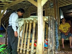 Derita Gangguan Kejiwaan, Pemuda Ini Setahun Hidup di Dalam Kandang