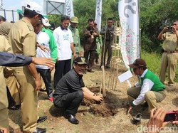 Peringati Hari Pohon, Pemkab Sidoarjo Tanam 3 Ribu Pohon di Kawasan Wisata
