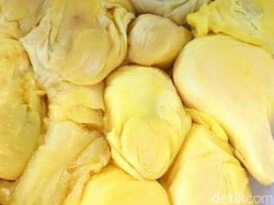 5 Sahabat Ini Rasakan Manisnya Bisnis Durian Beromzet Rp 20 Juta/Bulan