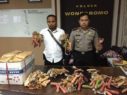 1.000 Katapel Akan Dikirim ke Maros Diamankan Polisi di Surabaya