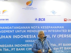 Libatkan 3 Sektor, Holding BUMN Kemaritiman Selesai Tahun Depan