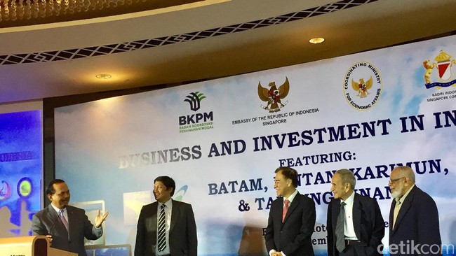 Pemerintah ke Investor Singapura: Ayo Investasi di Batam, Bintan, dan Karimun