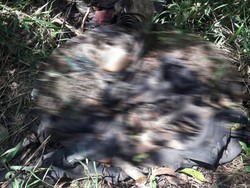 2 Mayat Tinggal Tulang Ditemukan di Samarinda, Terduga Pelaku Ditangkap