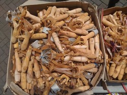 Isi Pernyataan Pemilik 1.000 Katapel ke Polisi: Bisa Diambil Bila Situasi Dirasa Aman