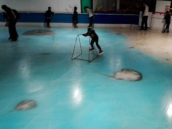 Bekukan 5 Ribu Ikan untuk Hiasan, Arena Ice Skating di Jepang Ini Ditutup