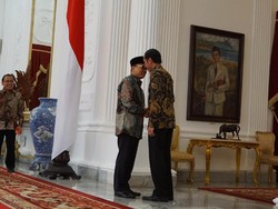 PAN Merapat, Pemerintahan Jokowi Kian Kuat