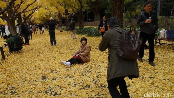Bukan Mimpi, Musim Gugur Seindah Ini Ada di Tokyo