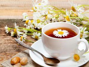 Chamomile Disebut Teh, Orang Amerika Dikritik Benedict Cumberbatch