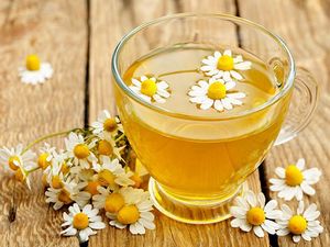 Untuk Kulit Mulus dan Kencang Coba Gunakan 5 Racikan Teh Chamomile Ini Untuk Kulit Mulus dan Kencang Coba Gunakan 5 Racikan Teh Chamomile Ini