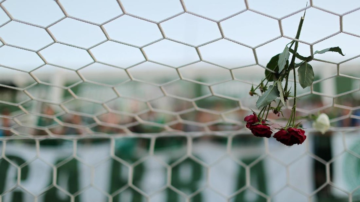 Foto: Heuler Andrey/Getty Images