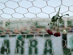 Sepatu Penanda Duka yang Dibawa-bawa Keluarga Para Pemain Chapecoense