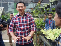 Ahok Yakin Keberadaan RPTRA Bisa Cegah Kekerasan pada Anak