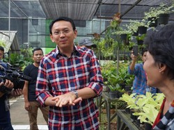 Cerita Ahok yang Diingatkan Jokowi untuk Ubah Gaya Bicara
