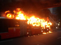 Bus Terbakar di Depan BNN, TransJ Setop Operasional 30 Bus Ankai Sementara