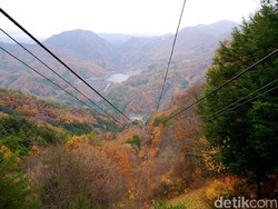 Inikah Lembah Paling Cantik di Jepang Kala Musim Gugur?
