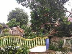 Lima Desa di Banyuwangi Diterjang Puting Beliung