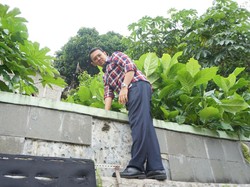 Aksi Ahok Panjat Tembok Lihat Sungai di Pasar Minggu