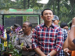 Ditanya Soal APBD DKI 2017, Ahok: Saya Masih Tunggu Putusan MK