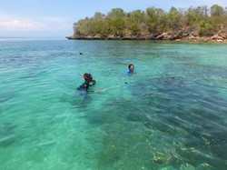Serunya Snorkeling di Pantai Pink Lombok