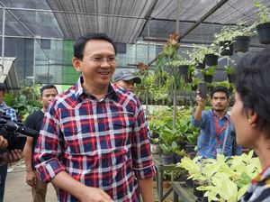 Hari HAM Sedunia, Ahok: Wujudkan Kemanusiaan yang Tak cuma Beradab tapi Adil