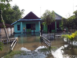 Status Siaga Merah, Bojonegoro Antisipasi Banjir Luapan Bengawan Solo