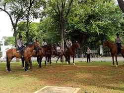 Penampakan Pasukan Kuda Siaga di Depan Istana