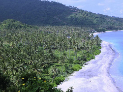 Industri Pariwisata Lombok Beramai-ramai Registrasi ITX