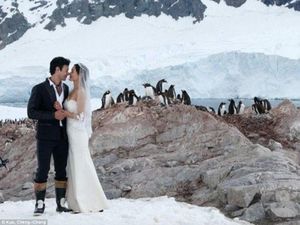 Dramatis, Foto Artis Taiwan yang Menggelar Pernikahan di Antartika