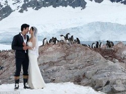 Dramatis, Foto Artis Taiwan yang Menggelar Pernikahan di Antartika