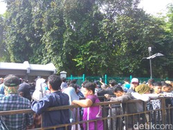 Suporter Serbu GBK untuk Beli Tiket karena Susah Beli Online