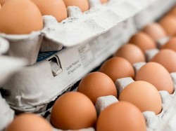 Ini Cara Tepat Menyimpan dan Menguji Kesegaran Telur