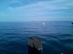 Pencarian Pesawat Polri yang Jatuh di Kepri Dihentikan Sementara