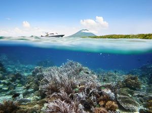 Artis K-Pop Korea, Syuting Reality Show di Manado