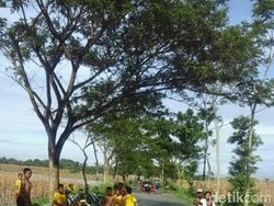 Banjir Kembali Landa Tiga Kecamatan di Jember