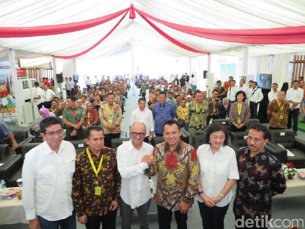 Strategi Nestle Tingkatkan Produksi Kopi Lewat Kesejahteraan Petani Strategi Nestle Tingkatkan Produksi Kopi Lewat Kesejahteraan Petani