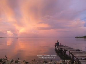 Melihat Damainya Alam Indonesia di Mentawai