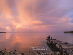 Melihat Damainya Alam Indonesia di Mentawai