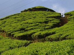 Apa Tempat Wisata Sekitar Jakarta Favoritmu?