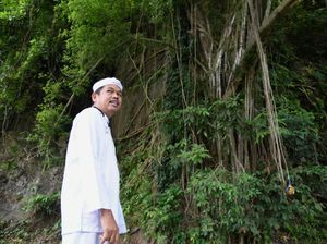 Tiru Bali, Purwakarta Bakal Punya Kampung Kera